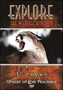 Cougar: Ghost of the Rockies