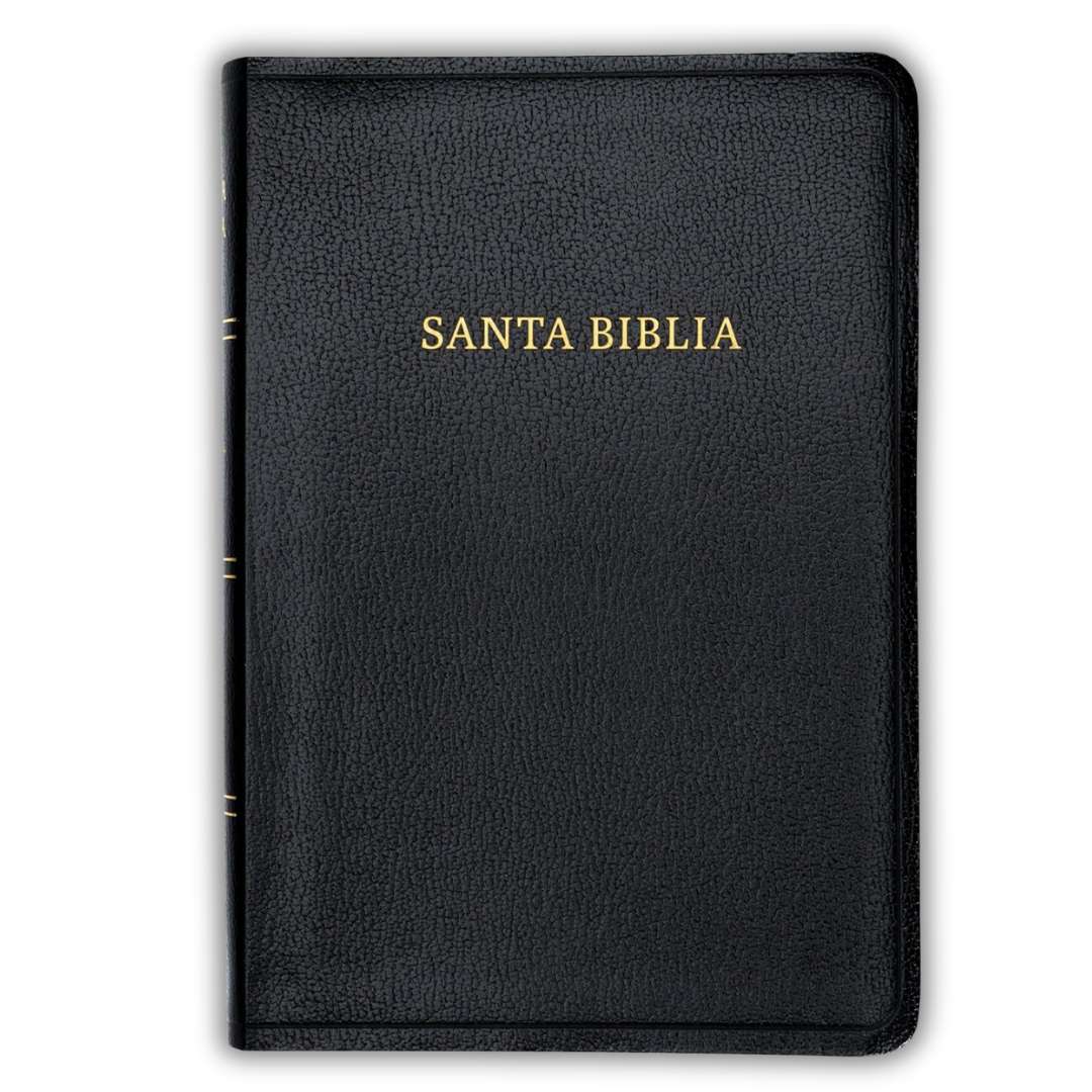 Biblia Letra Súper Gigante 19 pts RVR1960, Piel Sintética Negra con Índice y Cierre