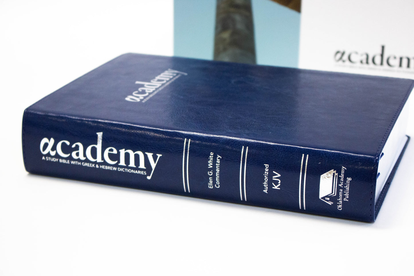 Academy Study Bible (Leatherette) EGW Hebrew & Greek Dictionary