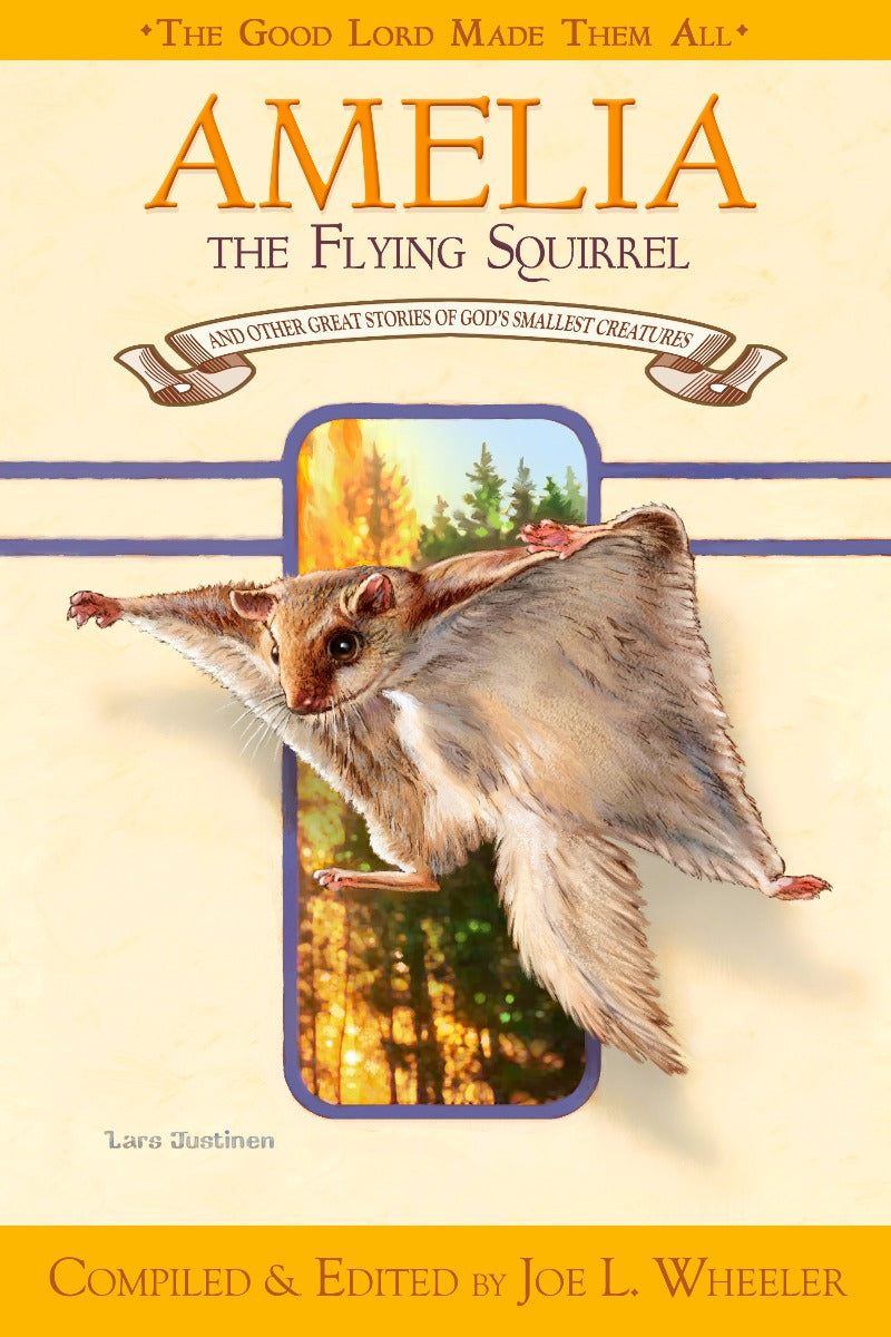 Amelia The Flying Squirrel