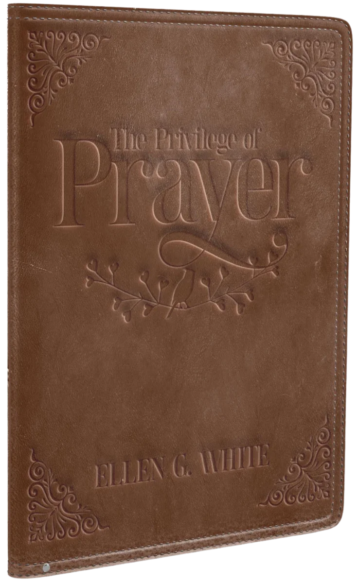 Privilege Of Prayer