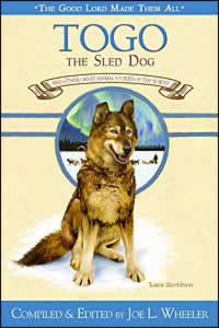 Togo The Sled Dog