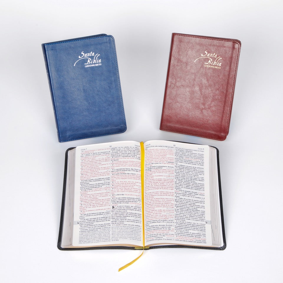 Santa Biblia de Estudios - EGW - tapa blanda - sin himnario