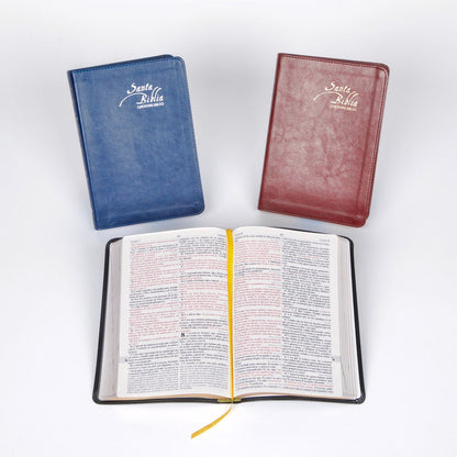 Santa Biblia de Estudios - EGW - tapa blanda - sin himnario