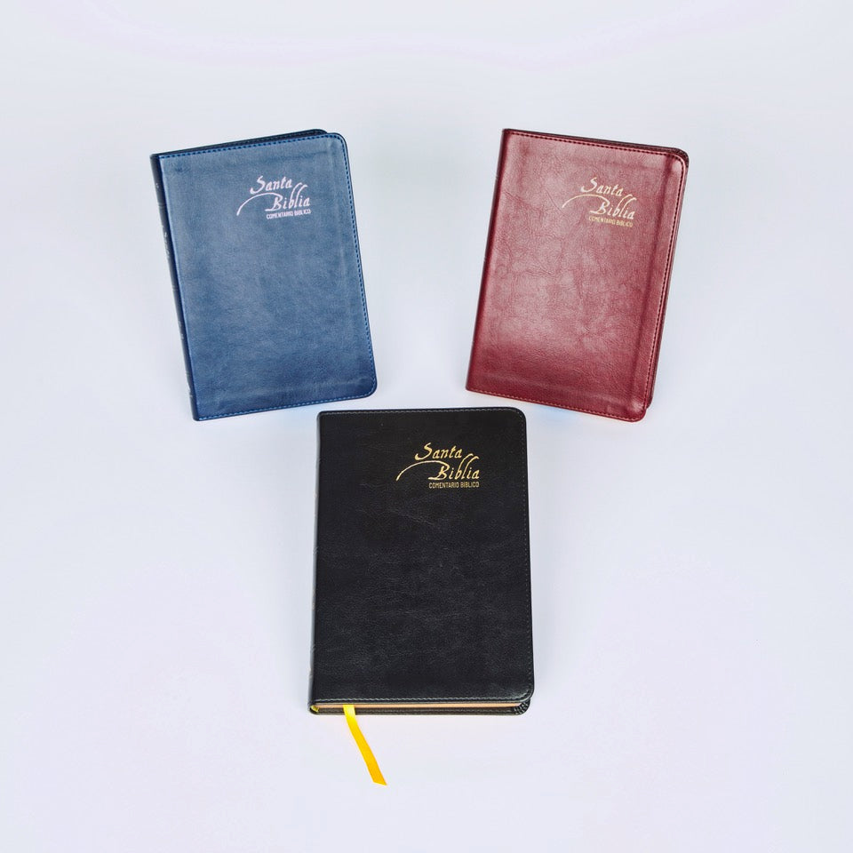 Santa Biblia de Estudios - EGW - tapa blanda - sin himnario
