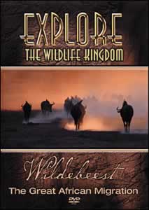 Wildebeest: The Great African Migration