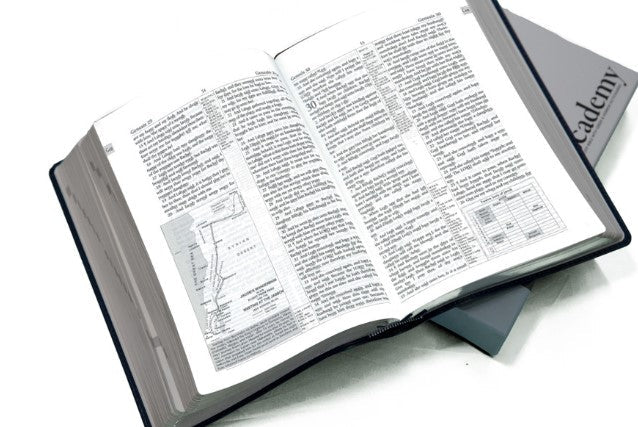 Academy Study Bible (Leatherette) EGW Hebrew & Greek Dictionary