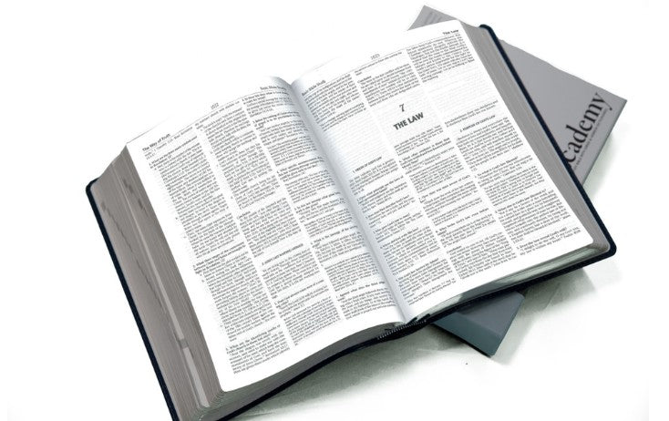 Academy Study Bible (Leatherette) EGW Hebrew & Greek Dictionary