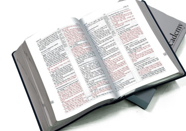 Academy Study Bible (Leatherette) EGW Hebrew & Greek Dictionary