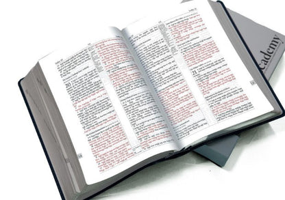 Academy Study Bible (Leatherette) EGW Hebrew & Greek Dictionary
