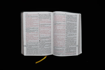 Santa Biblia de Estudios - EGW - tapa blanda - sin himnario