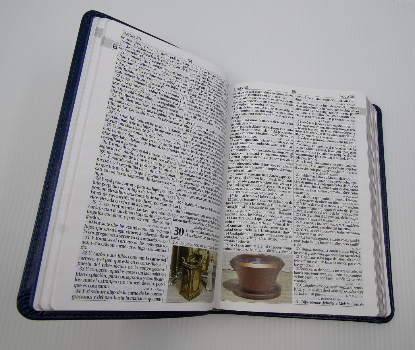 Santa Biblia de Estudios - EGW - tapa blanda - sin himnario