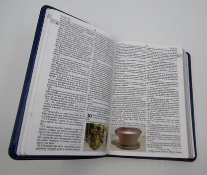 Santa Biblia de Estudios - EGW - tapa blanda - sin himnario