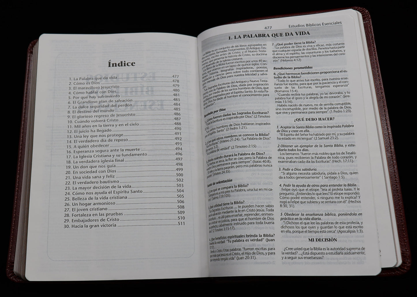 Santa Biblia de Estudios - EGW - tapa blanda - sin himnario