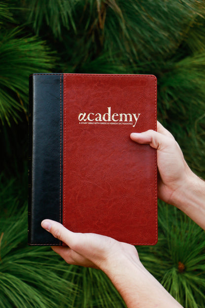 Academy Study Bible (Leatherette) EGW Hebrew & Greek Dictionary