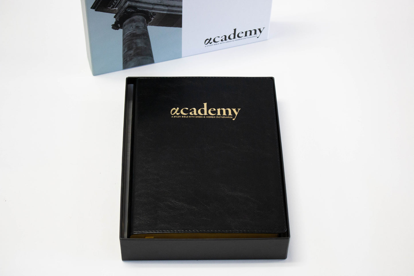 Academy Study Bible (Leatherette) EGW Hebrew & Greek Dictionary