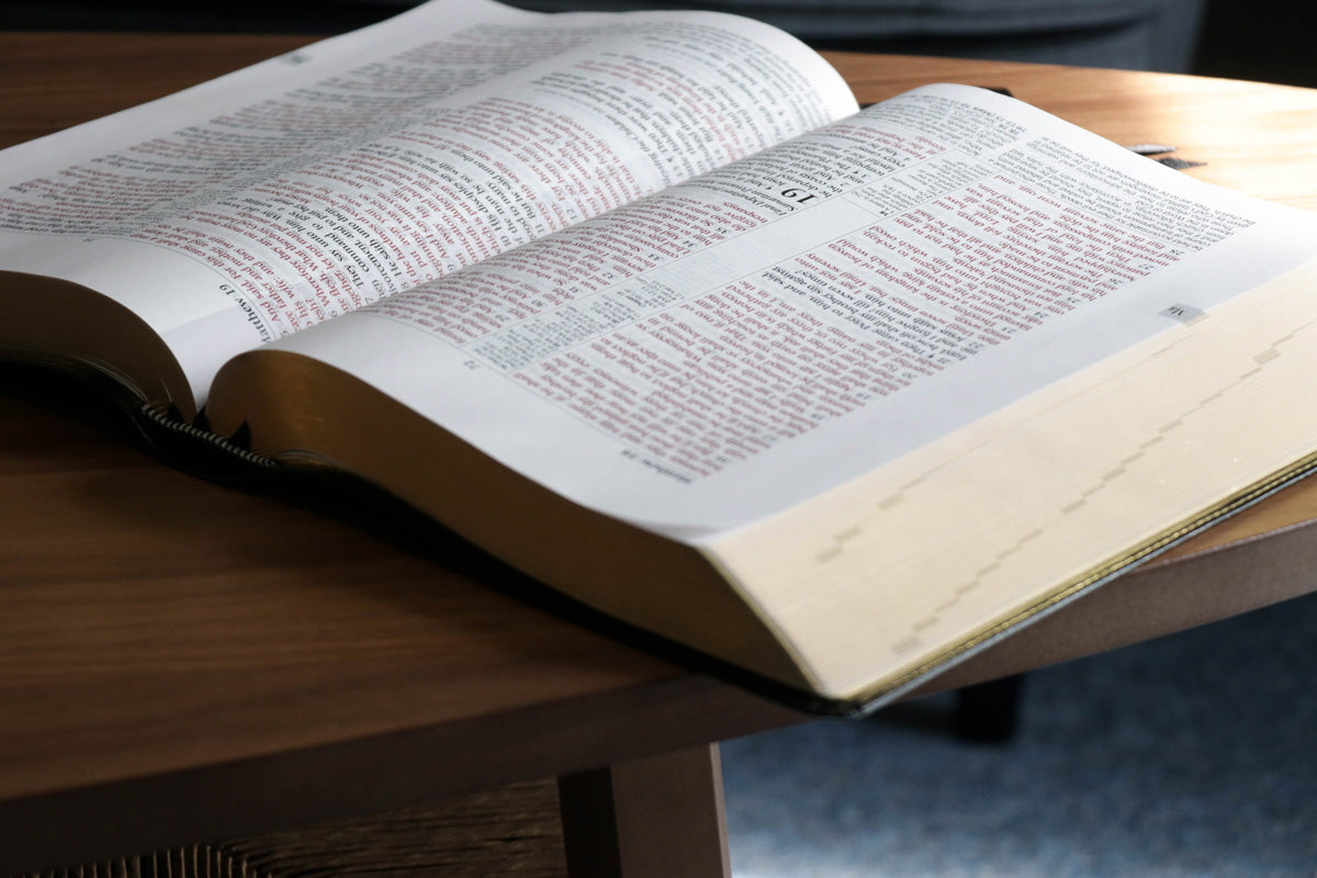 Academy Study Bible (Leatherette) EGW Hebrew & Greek Dictionary