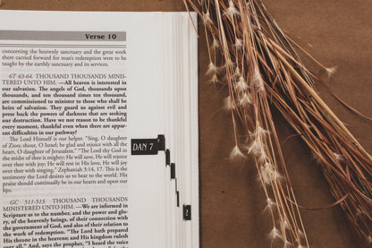 Daniel & Revelation - Ellen G. White Commentary Set Vol 1 & 2
