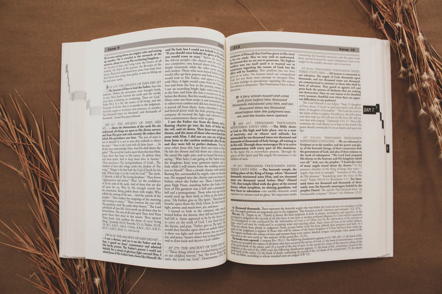 Daniel & Revelation - Ellen G. White Commentary Set Vol 1 & 2
