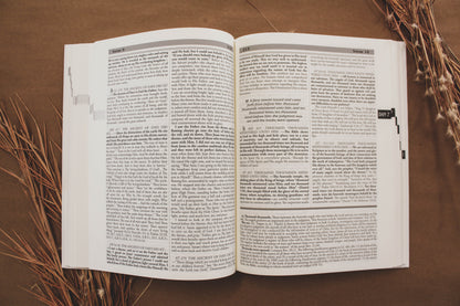 Daniel & Revelation - Ellen G. White Commentary Set Vol 1 & 2