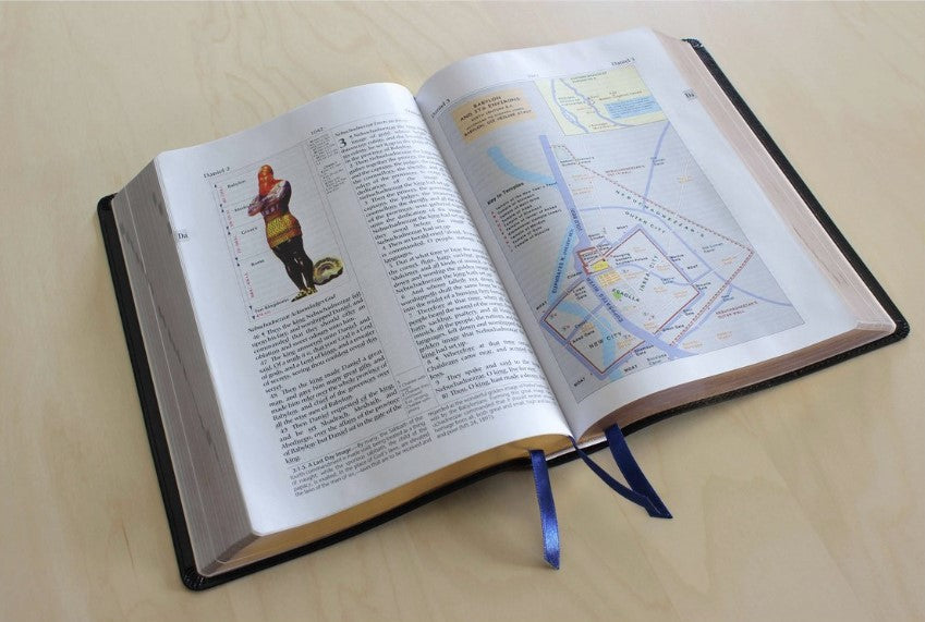 Academy Study Bible (Leatherette) EGW Hebrew & Greek Dictionary