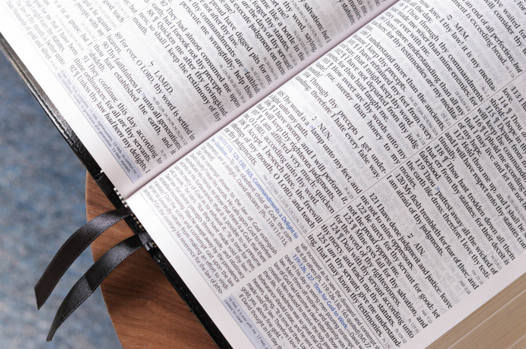 Mission Study Bible with EGW Commentary