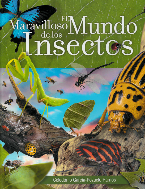 El Maravilloso Mundo de los Insectos (Español)