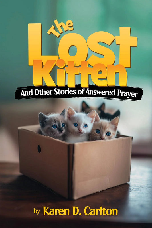Lost Kitten