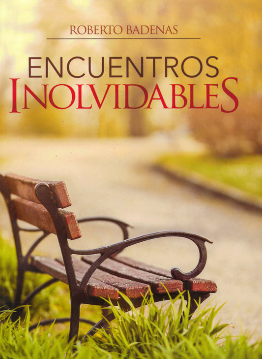 Encuentros inolvidables (Espanol)