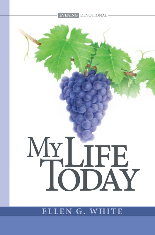 My Life Today (Adul Evening Devotional)