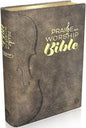 Bible- Praise/Worship GL ENG