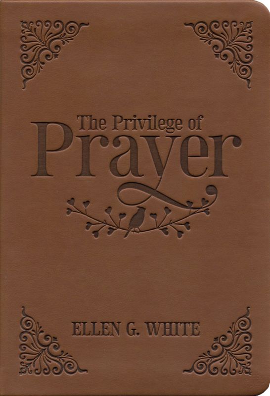 The Privilege of Prayer