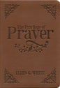 The Privilege of Prayer