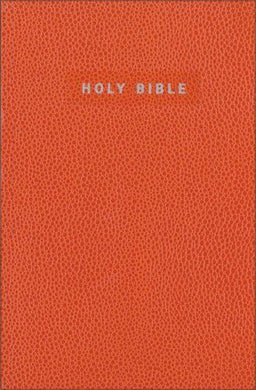 NIV Gift & Award Bible, Orange