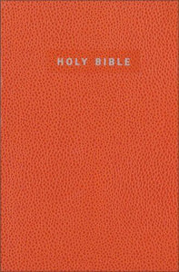 NIV Gift & Award Bible, Orange