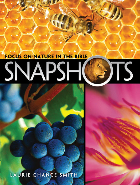 Snapshots: Focus on Nature in the Bible