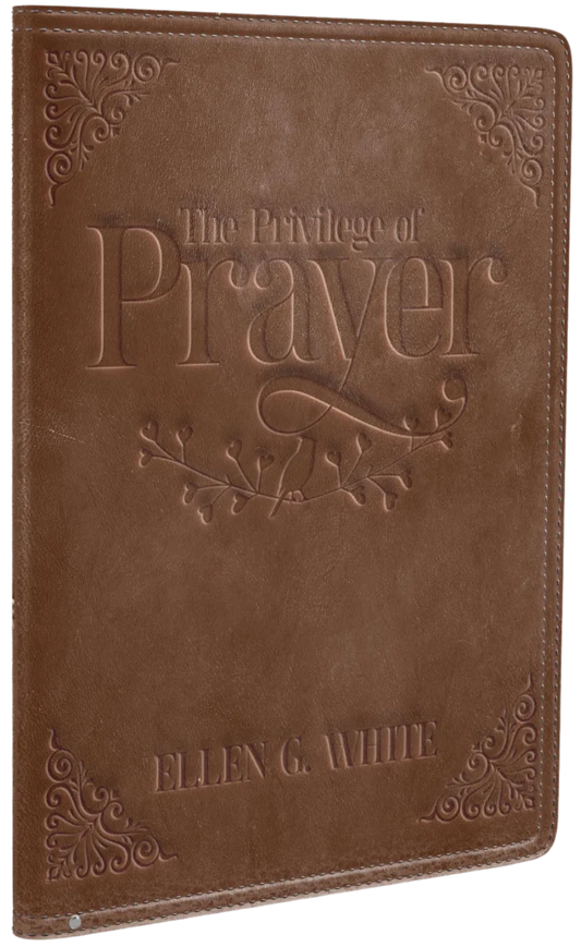 Privilege Of Prayer
