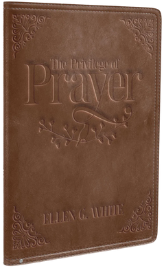 Privilege Of Prayer