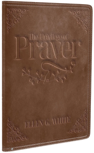 Privilege of Prayer