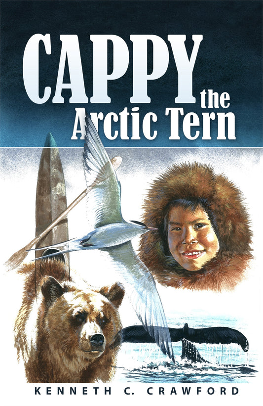 Cappy The Artic Tern