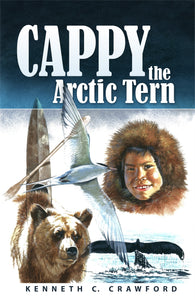 Cappy the Artic Tern
