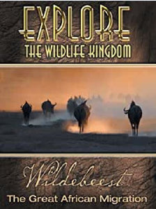 Explore the Wildlife Kingdom Wildebeest - The Great African Migration DVD
