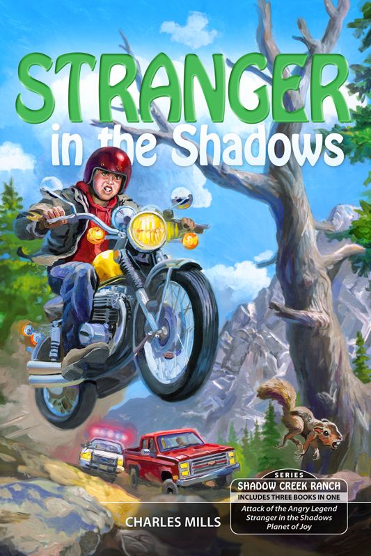 Stranger In The Shadows By Charles Mills