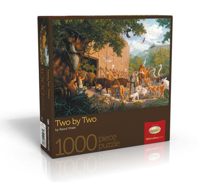 Two by Two - Bible Gallery Collection Puzzle - (By Bible Gallery)